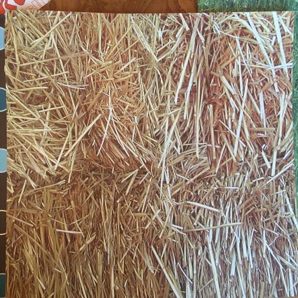 FOOTBALL SCRAPBOOK Kit with Extra Matching Paper - Picture 5 of 11